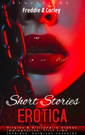 Short Stories Erotica Bundle